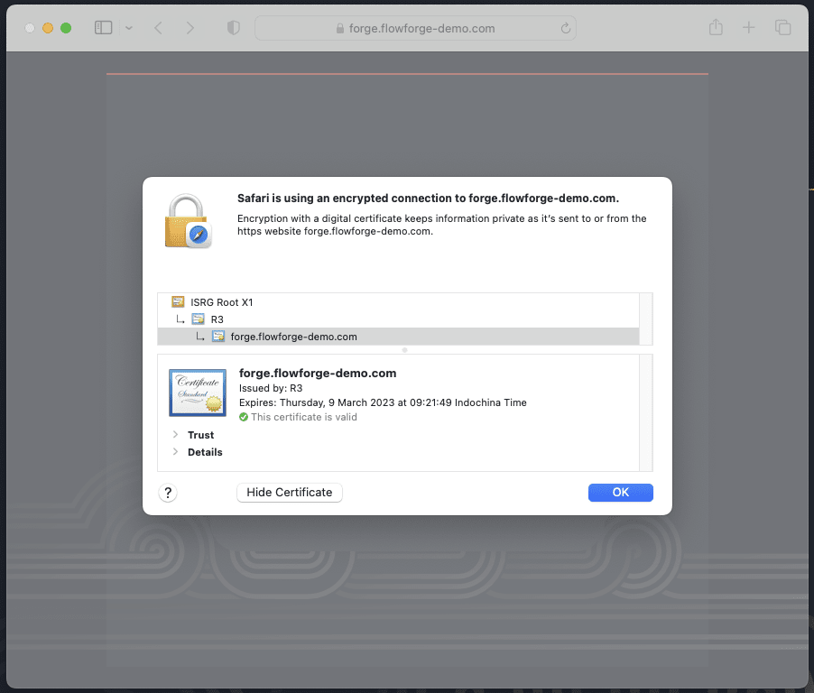 A screenshot from Safari web browser showing that the traffic to FlowFuse is encrypted